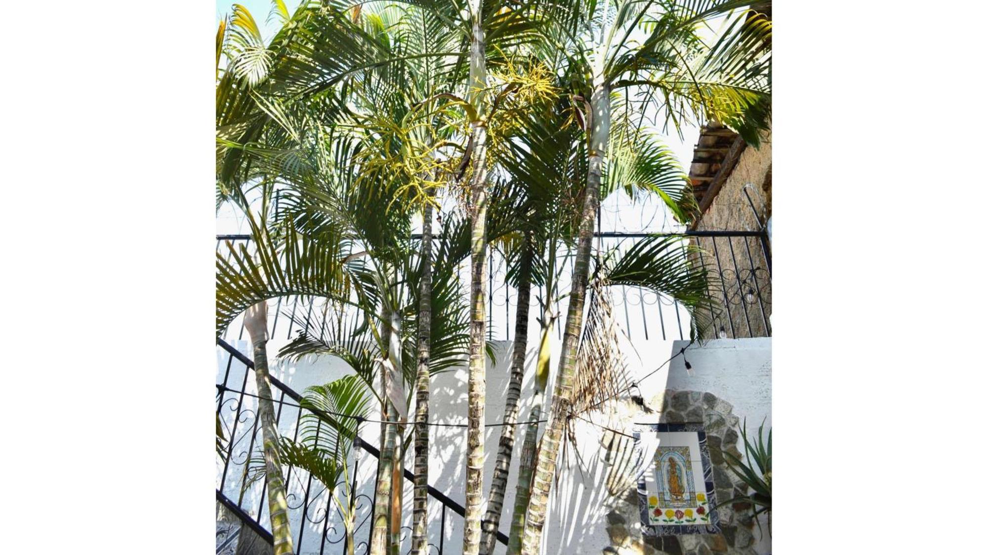 Casa Coco Hostel Santa Ana Exterior foto