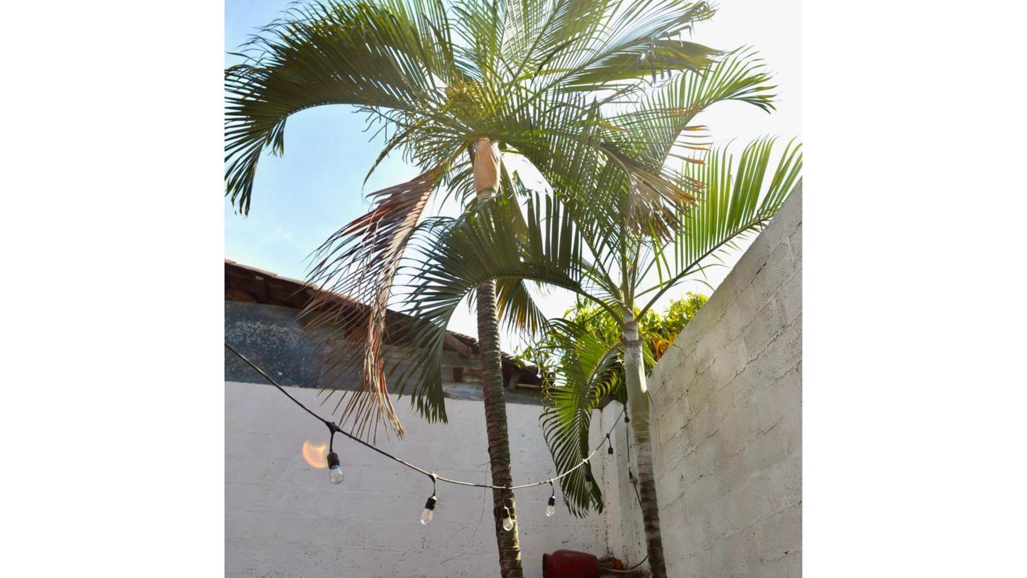 Casa Coco Hostel Santa Ana Exterior foto